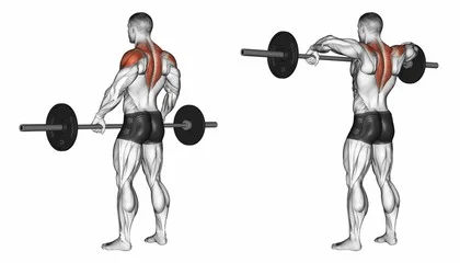 Standing upright row hotsell